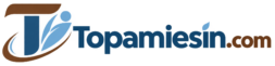 topamiesin.com